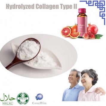 Hydrolyzed Collagen Type II